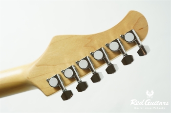 BST-1R - DLPB